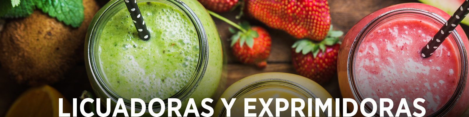 Licuadoras y exprimidoras